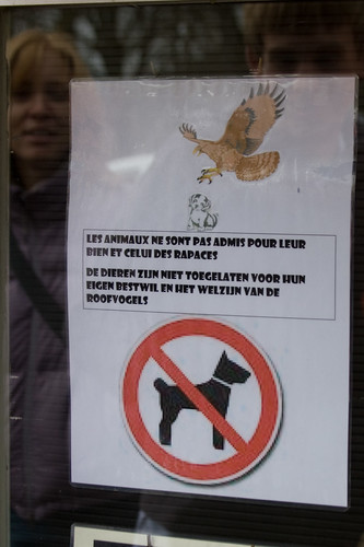 Puppies Beware of Angry Raptors!.jpg