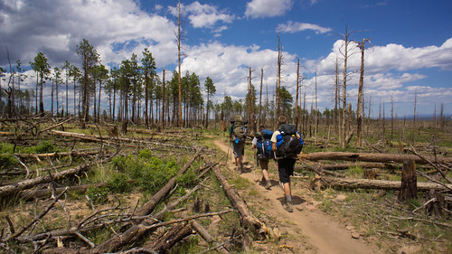 Hiking through the Ponil fire wasteland