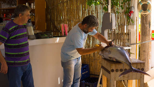 Carving up a yellowfin tuna at Moutsouna, Naxos