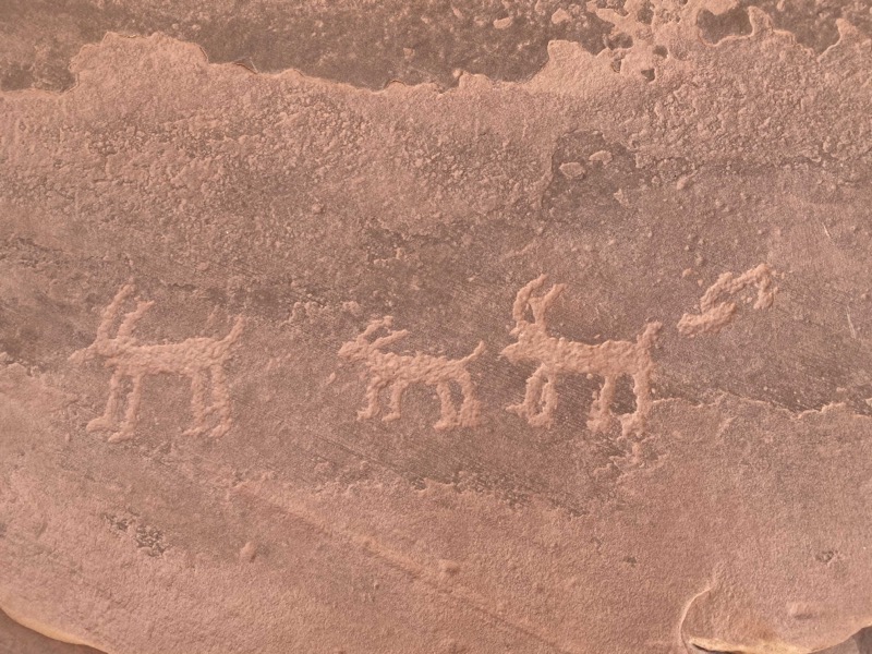 deer-petroglyphs.jpeg