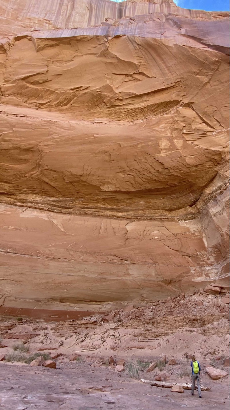 canyon-wall-with-rock-art-below.jpeg