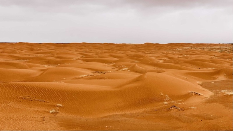 sand-dunes-along-drive-to-horseshoe-canyon.jpeg