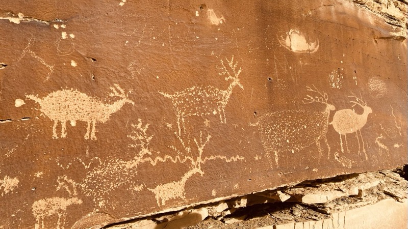 deer-procession-at-green-river.jpeg