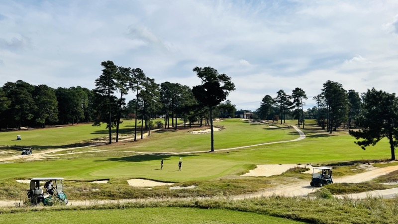 Wide view of Southern Pines