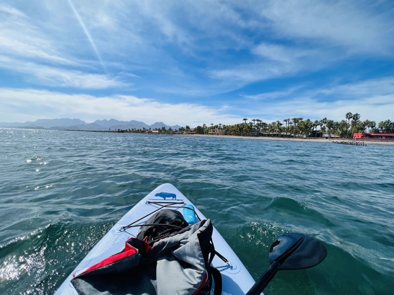 Paddle board