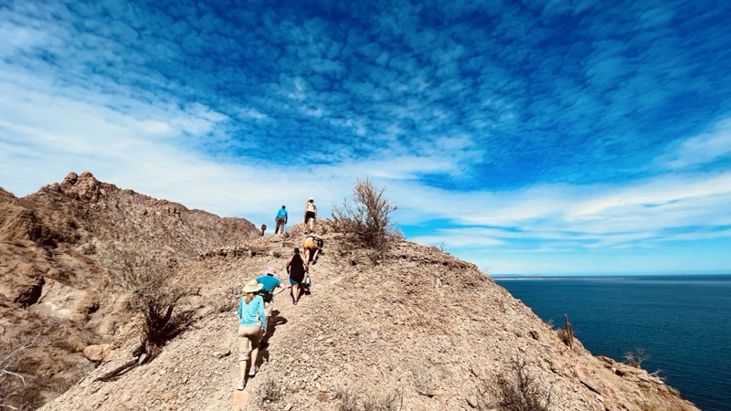 Hiking up the hill