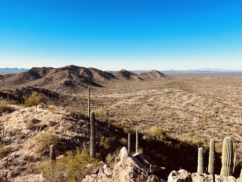 View into Mexico