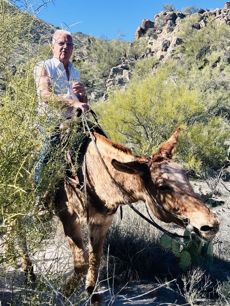 A man and his horse