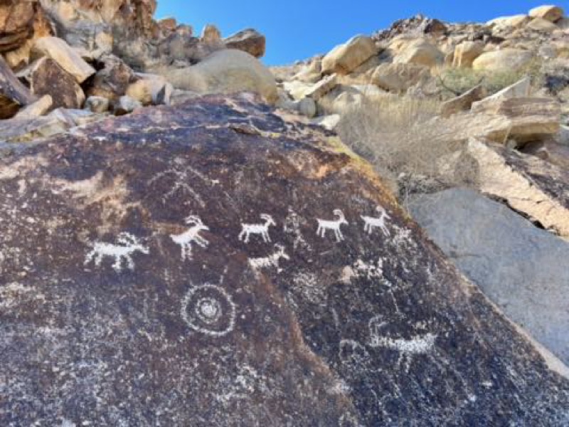 Animal petroglyphs