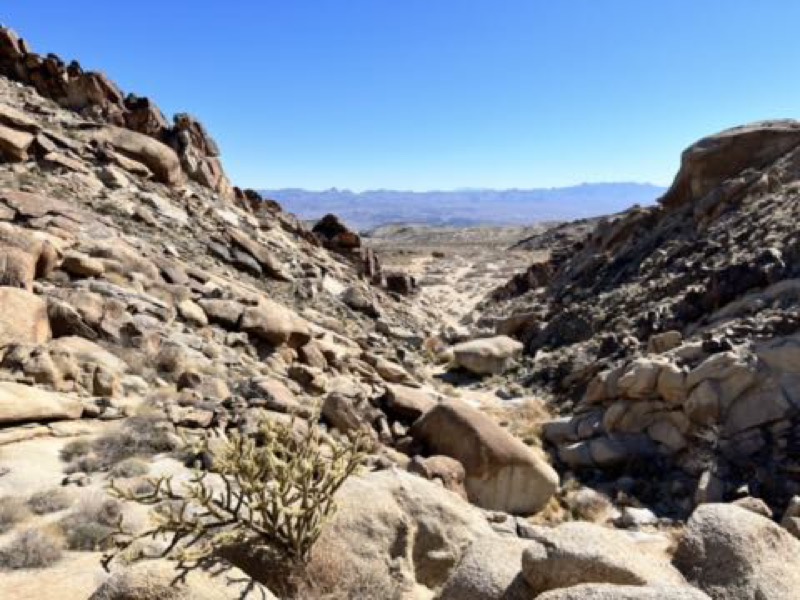 Looking out of Grapevine Canyon