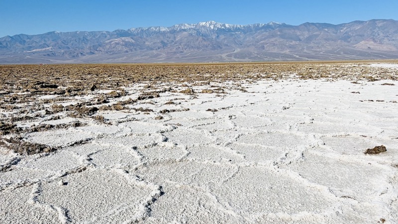 Salt polygons at Bad Water