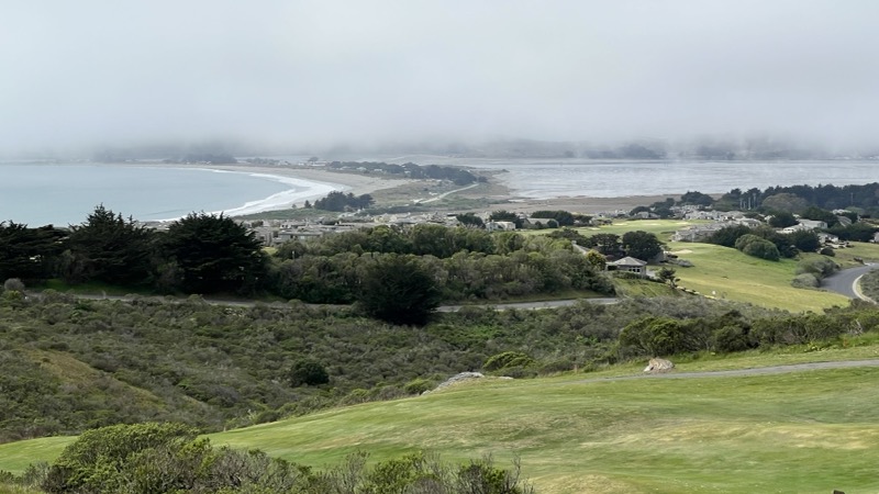 View into Bodega Bay from the course