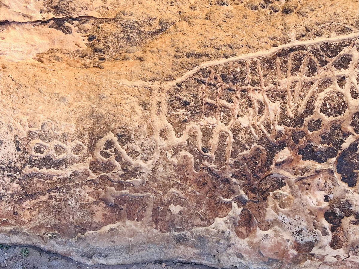 Hickison petroglyphs