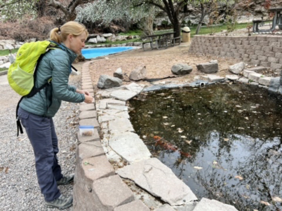 Julie feeding the carp