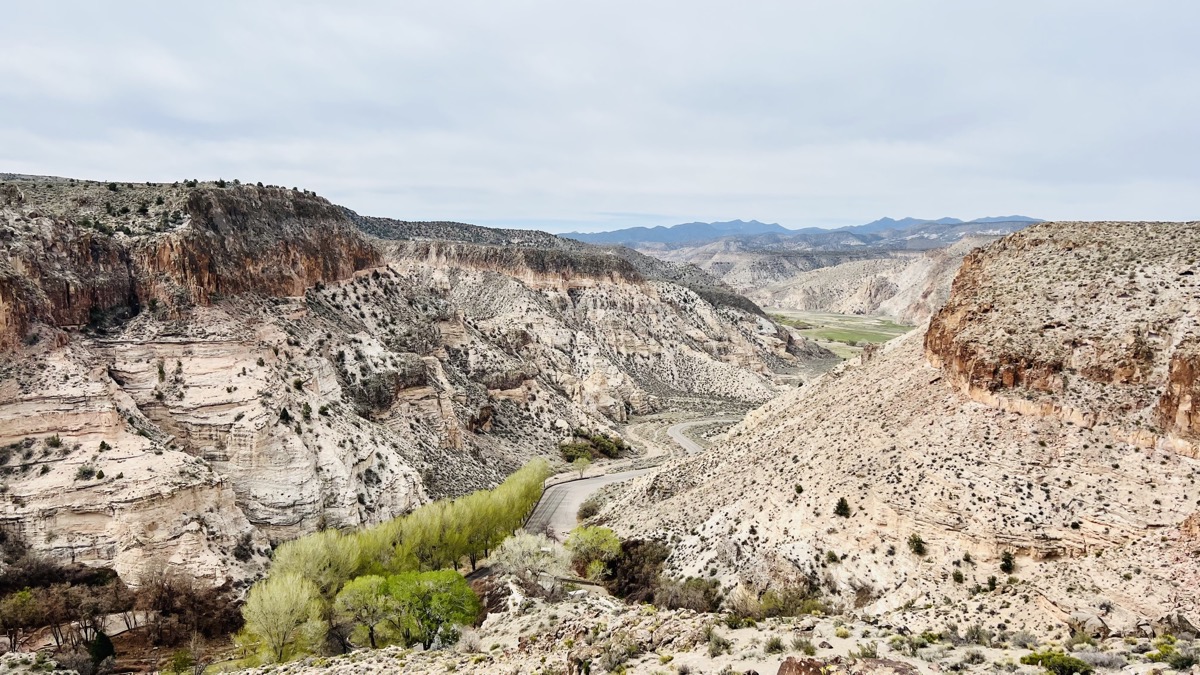 View into Kershaw-Ryan from overlook