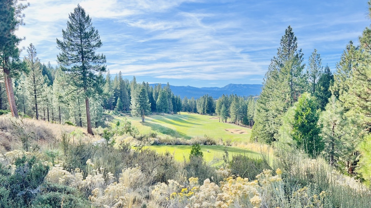 Beautiful views from first tee