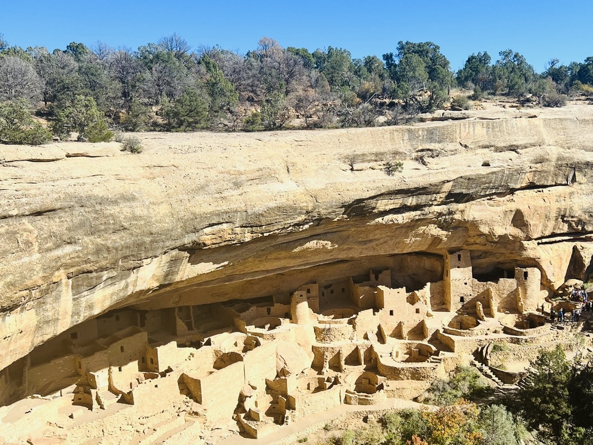 Cliff palace from the overlook