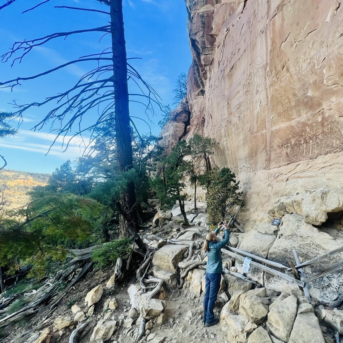 Julie inspects the petroglyphs