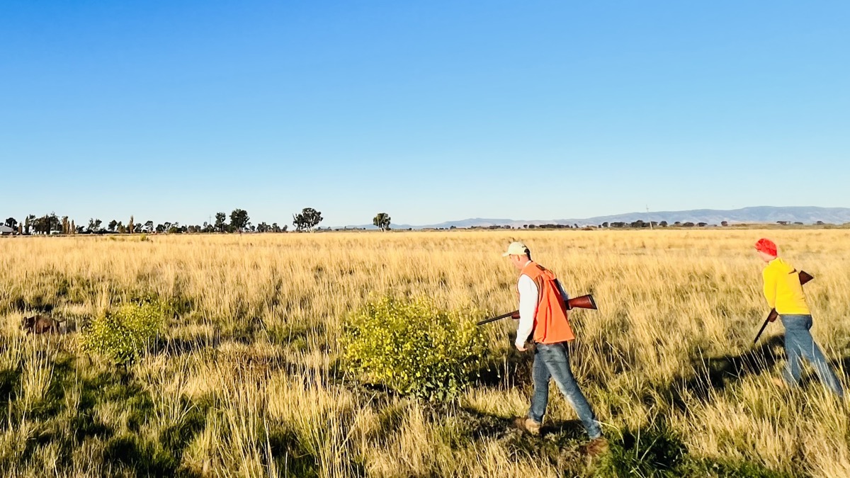 Aggie, Matt, and Jacob looking for birds