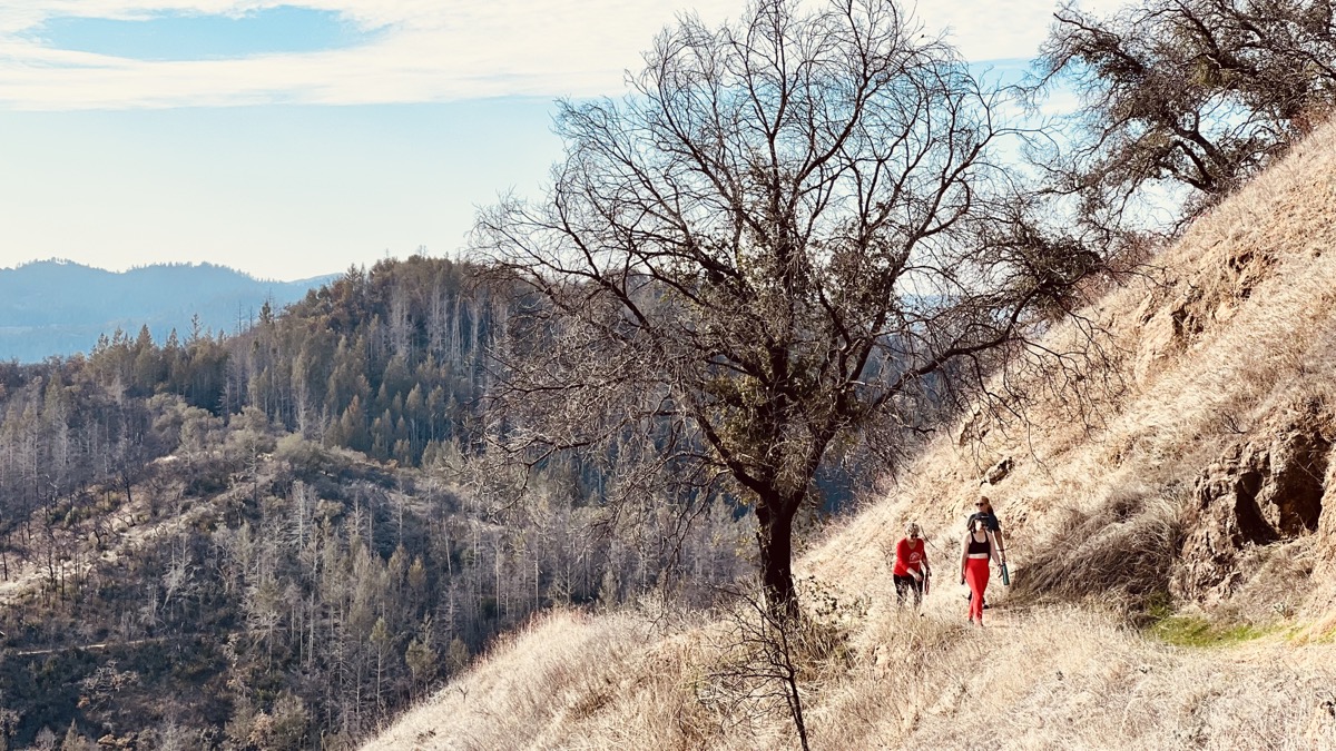 Climbing the Oat Hill Mine Trail