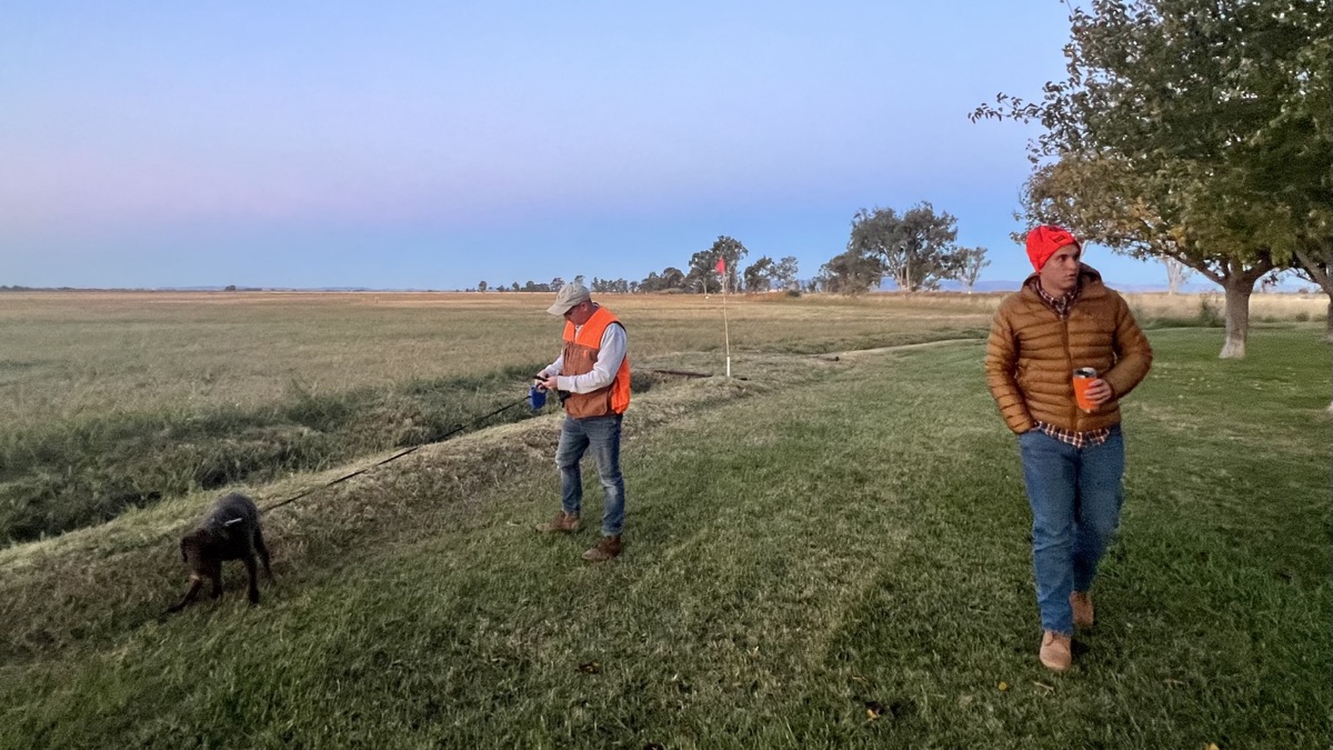 Walking Aggie before the hunt