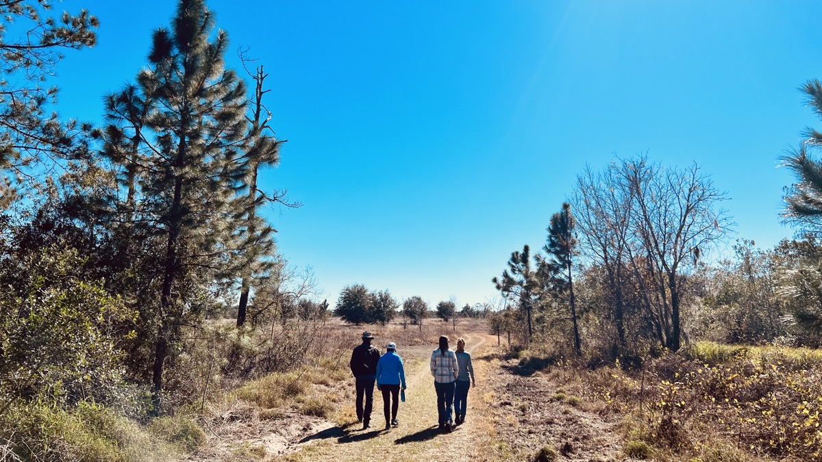 Hiking in Lake Louisa State Park