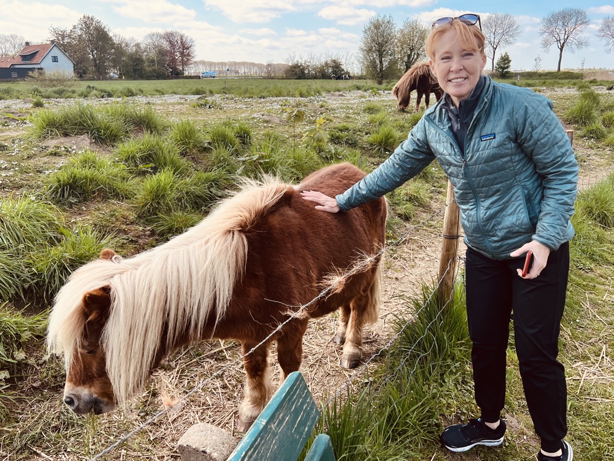 Pony friend