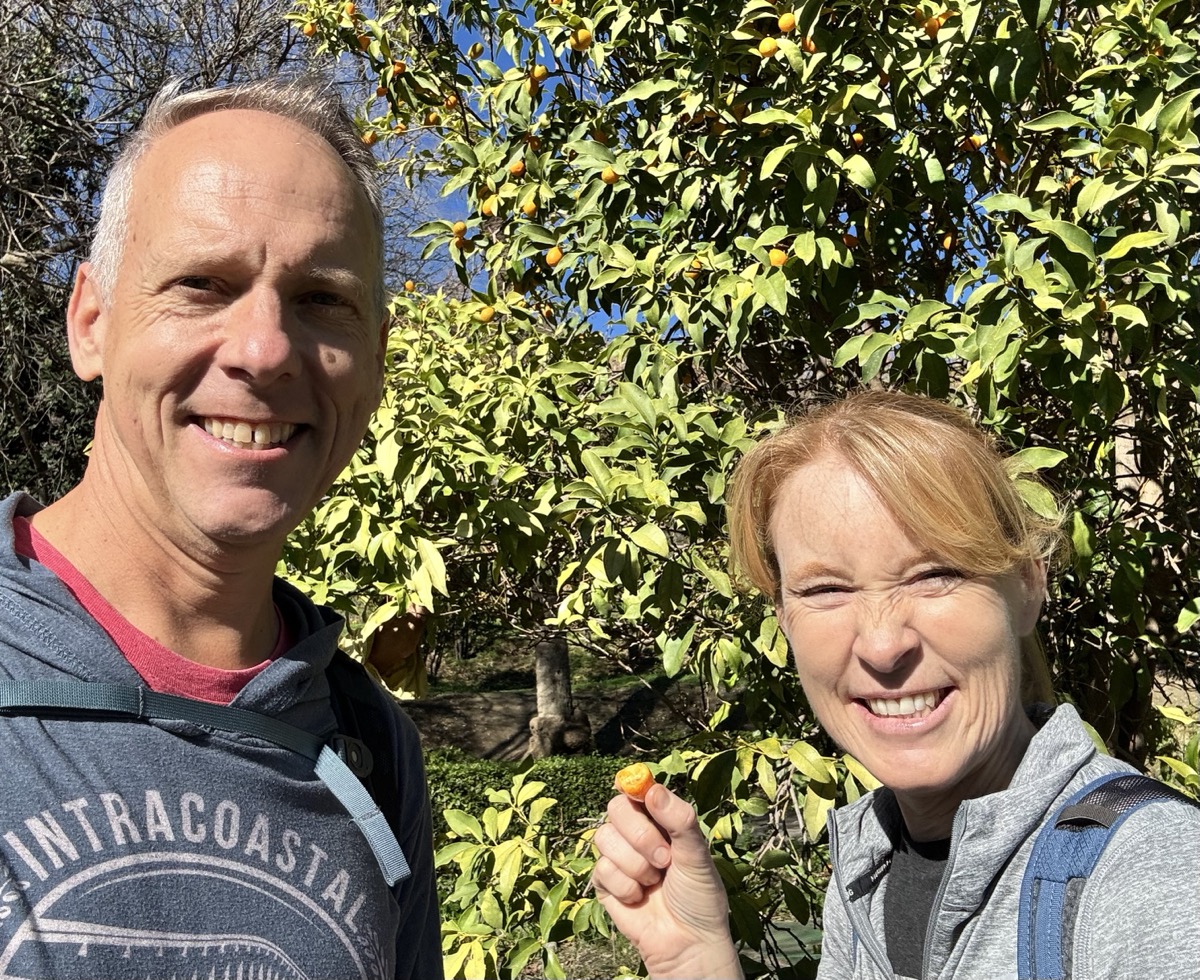 Picking kumquats in the botanical garden