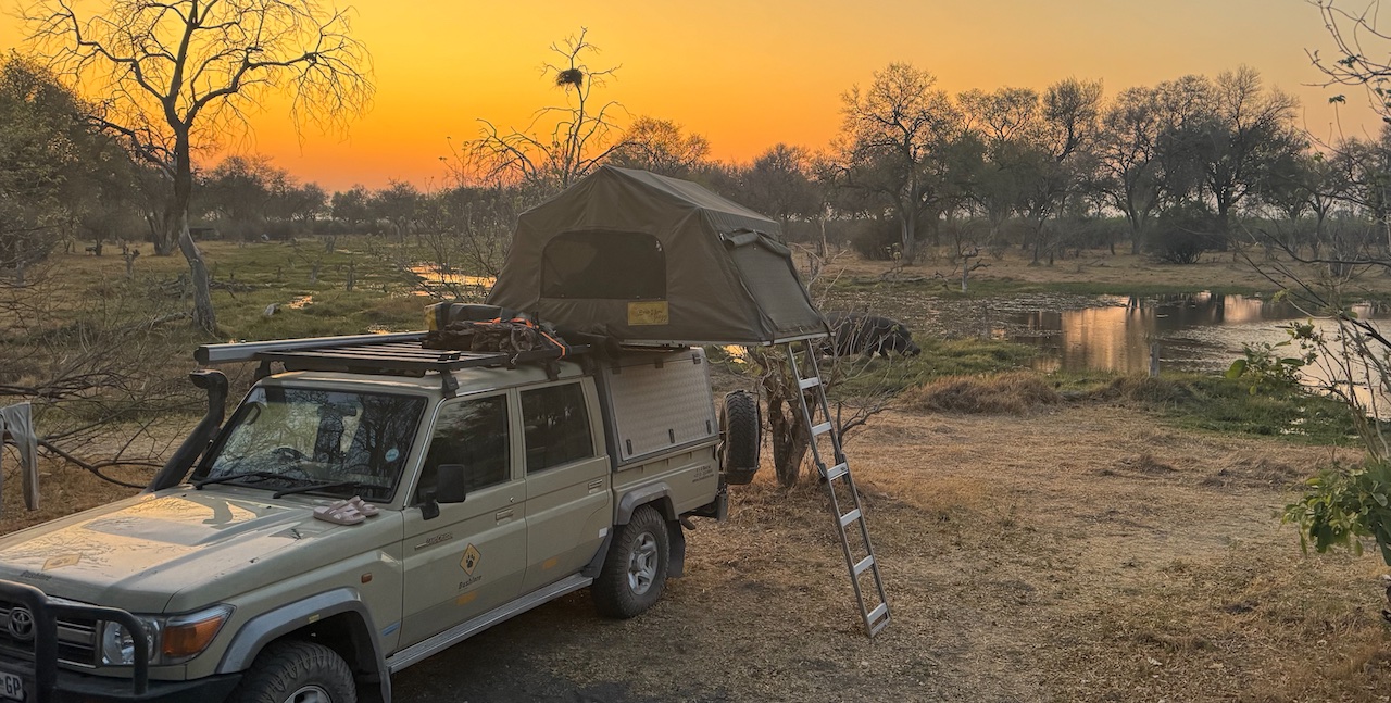 Khwai river campsite with hippo