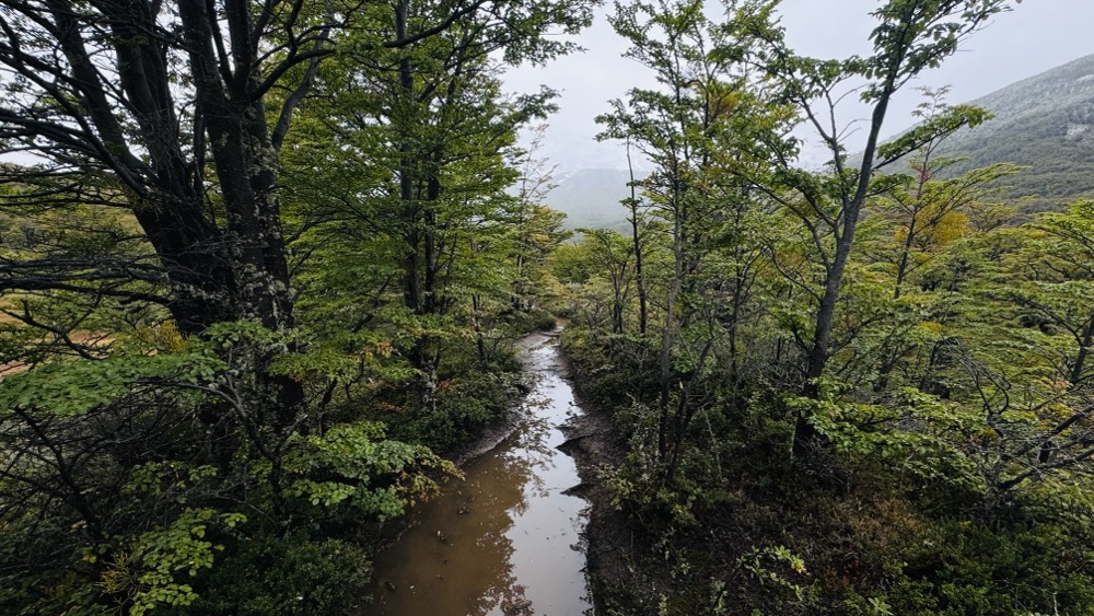 Muddy trails