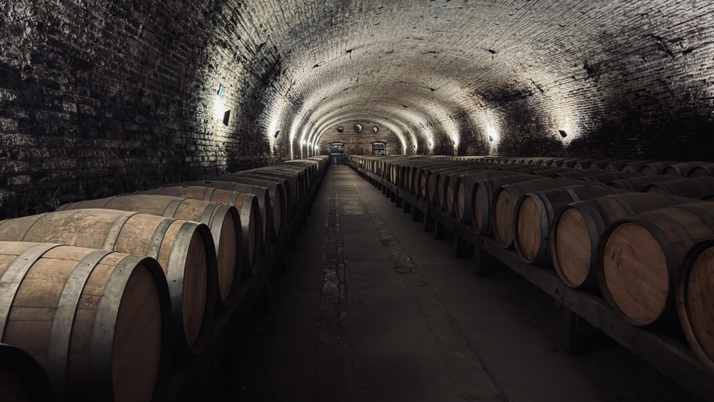 Wine cellars