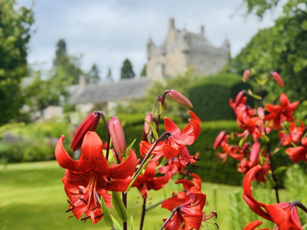 Beautiful castle gardens