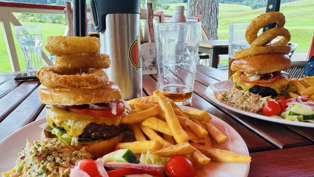 Venison burger and chips