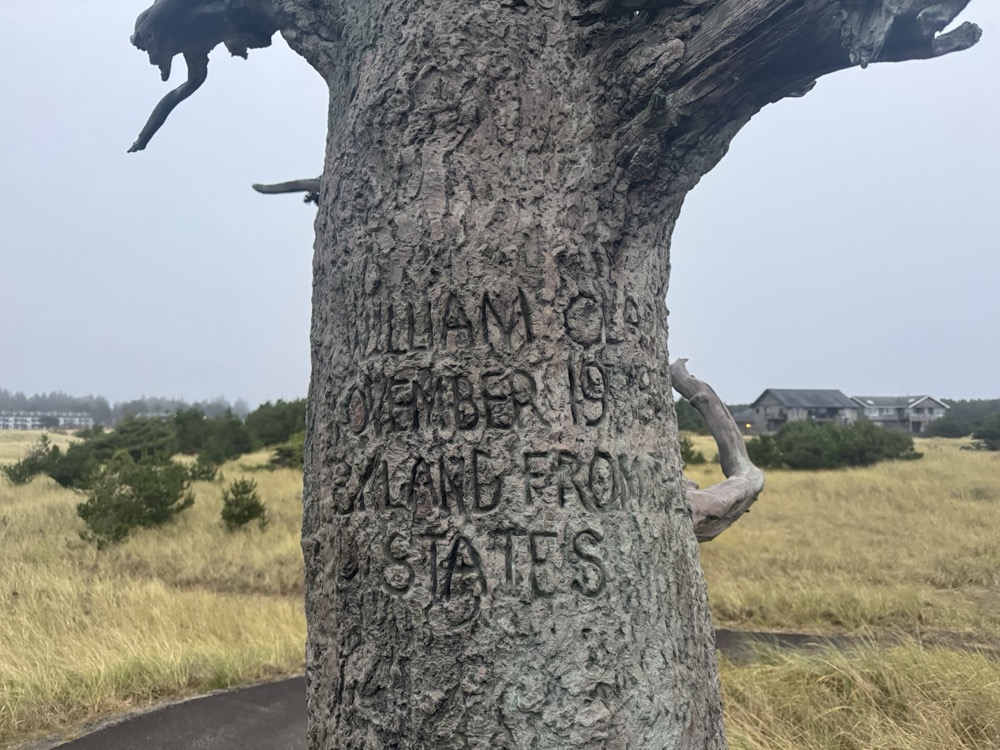A special tree on Long Beach