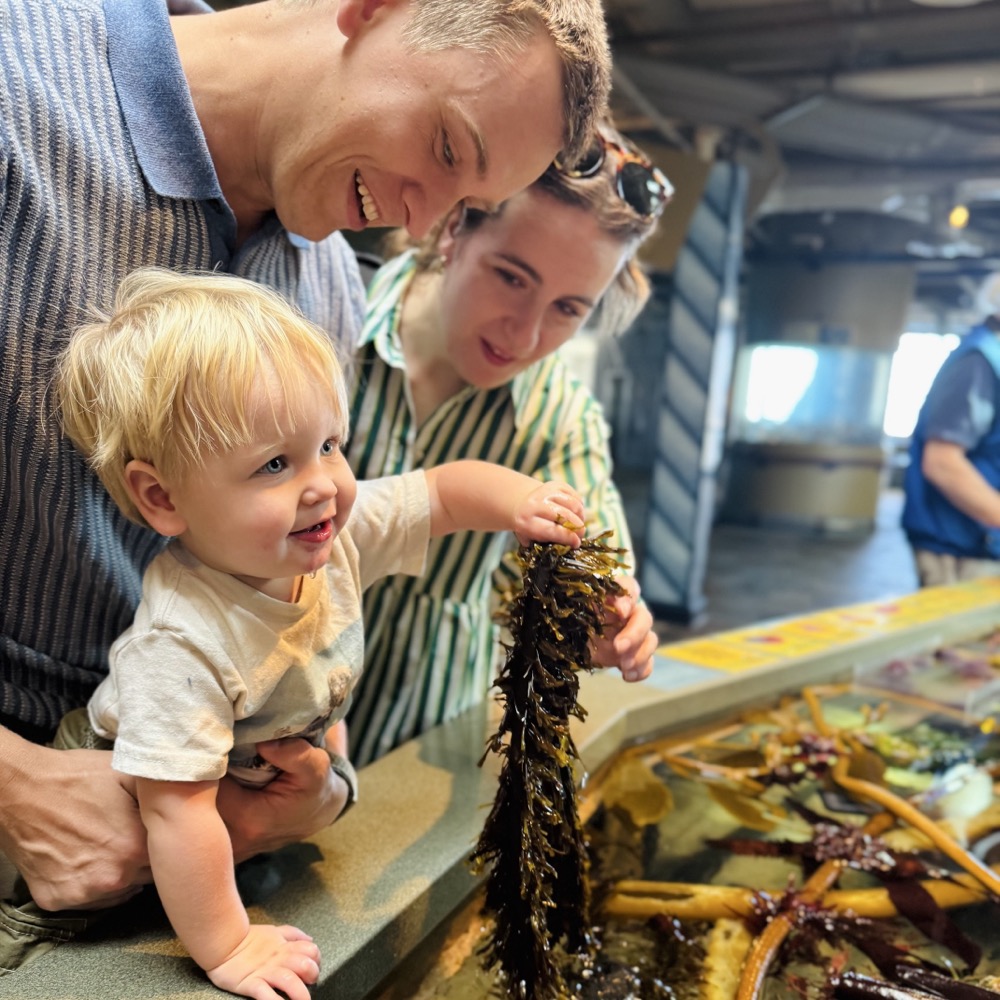 Exploring the touch tanks at Monterey Aquarium