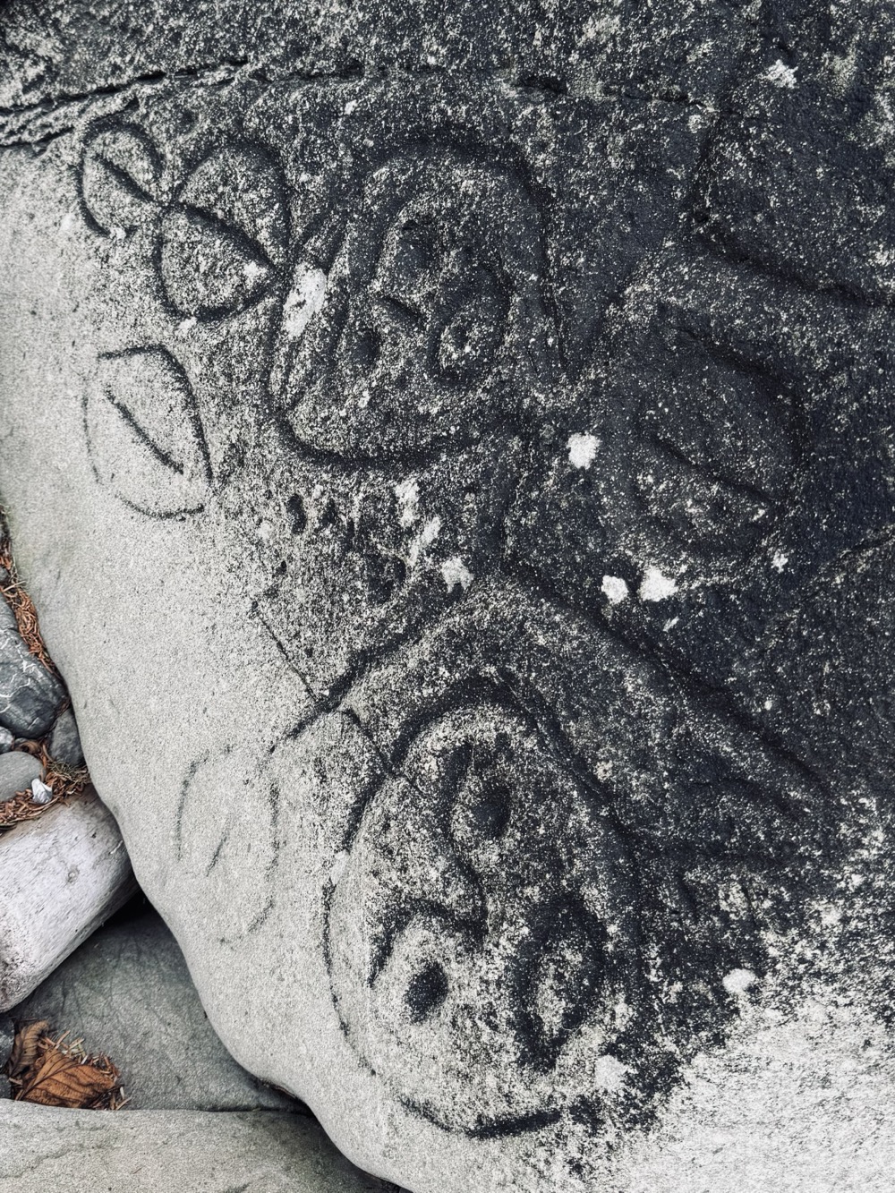 Petroglyphs along the beach trail