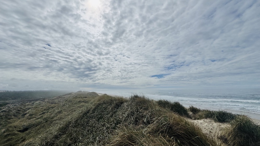 The Florence dunes