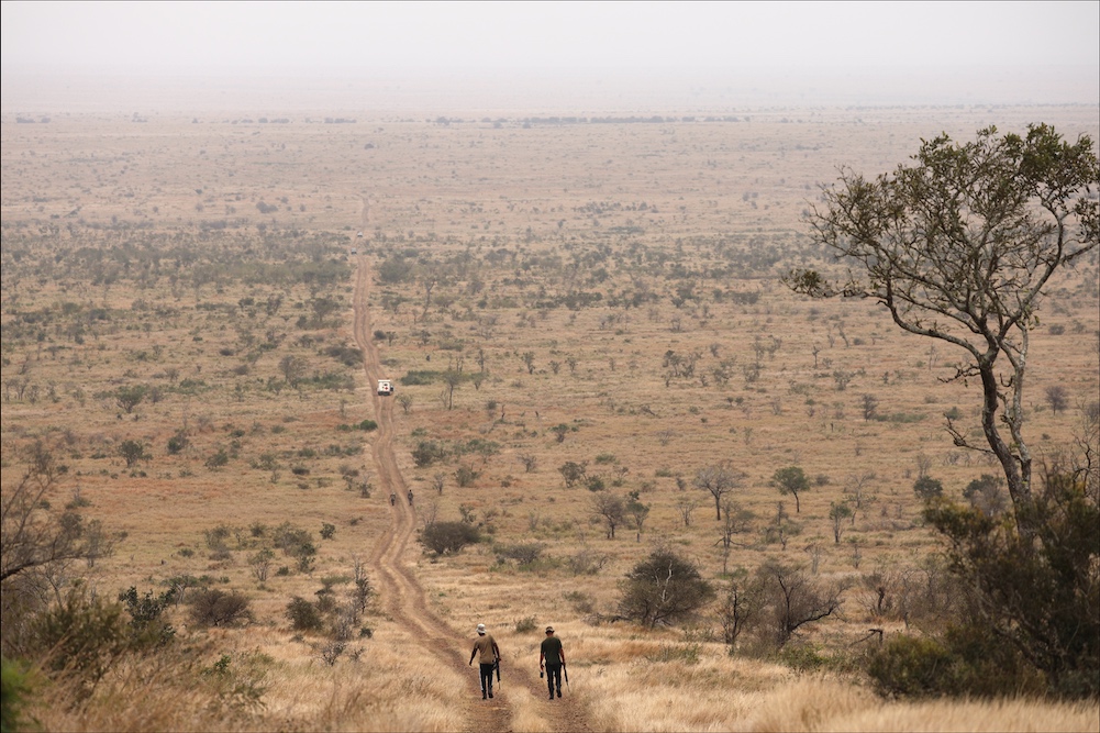 Army staff walking down to recover ambulance