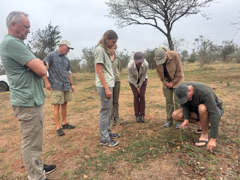Guide EJ sharing botany knowledge