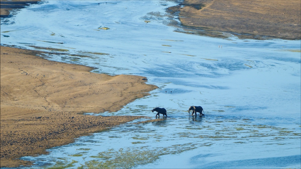 Elephants crossing the Runde