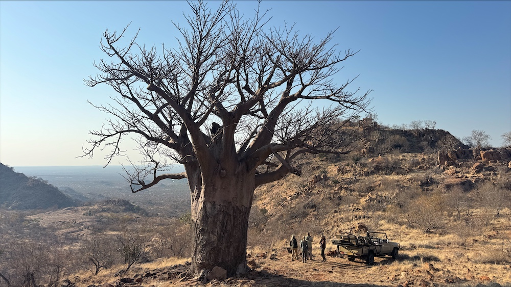 Exploring the rocky hills above the Limpopo