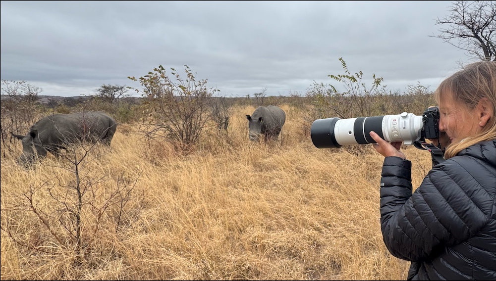 Karen up close to white rhinos in Matobo