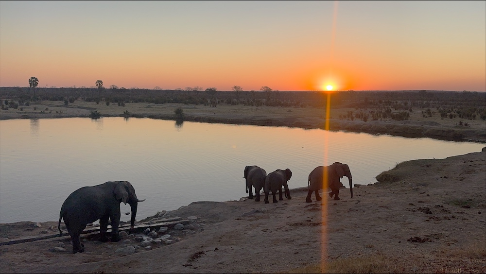 Sunset elephants at Masuma Dam