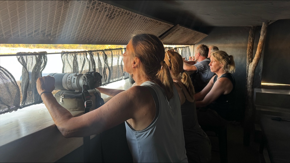 Viewing birds and game from the hide