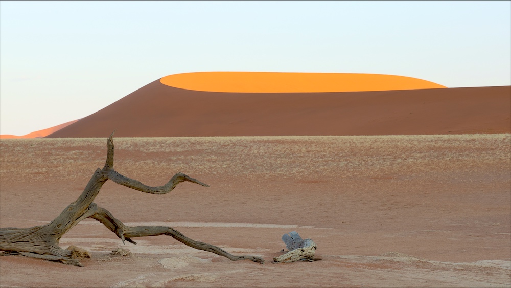 Dead tree in Deadvlei