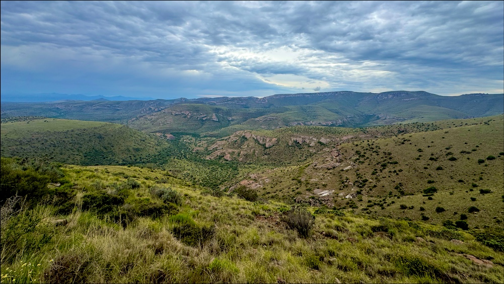 Mountain Zebra NP Landscape